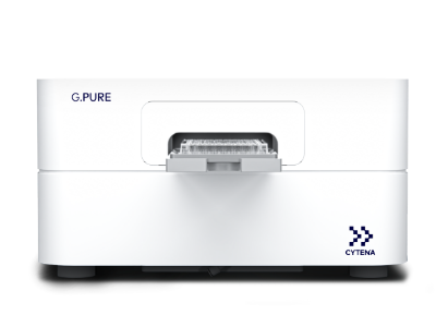 CY - LP - MSD Assays - 5-2