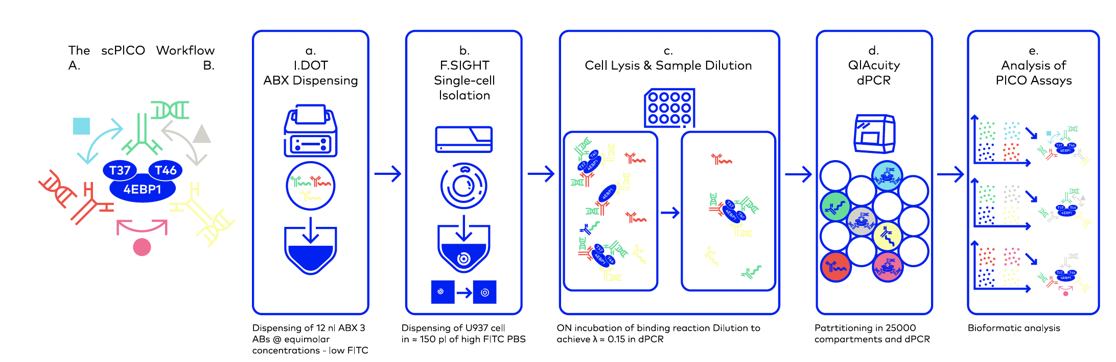 CYTENA <> DISPENDIX  The scPICO workflow. 